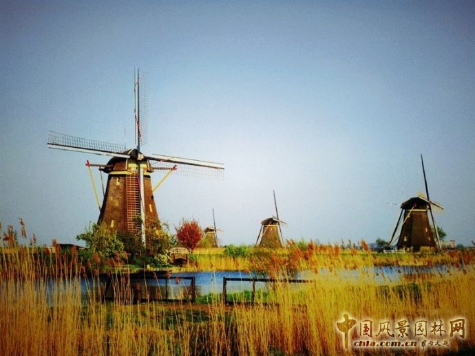 荷蘭風車群 中國風景園林網