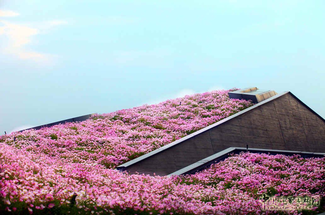空中花海 國(guó)內(nèi) 最大 屋頂花園 巨人網(wǎng)絡(luò)總部 中國(guó)風(fēng)景園林網(wǎng)