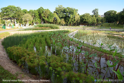 德國戴水道 2012年WAF世界最佳景觀設計獎