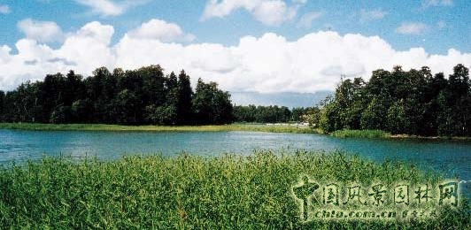 連載 劉秀晨 綠色的云 城鄉一體 綠地系統 中國風景園林網