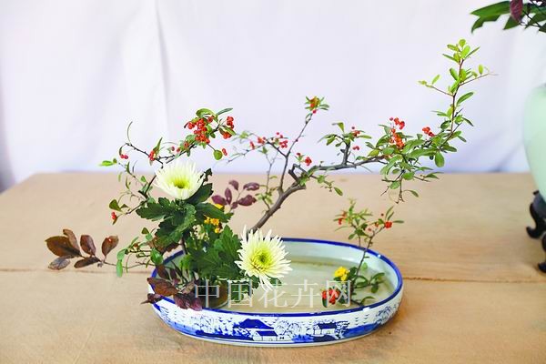 菊花 插花 藝術