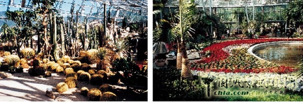 連載 劉秀晨 綠色的云 綠色的夢 北京植物園 中國風(fēng)景園林網(wǎng)