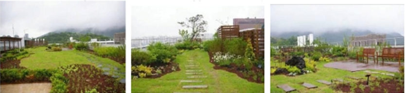 首爾 綠化 屋頂 大會(huì)