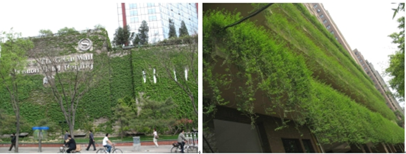 王仙民 體綠化 治理  PM2.5 屋頂綠化大會 中國風景園林網