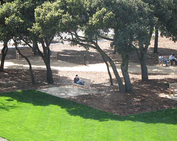 中國風景園林網 規劃設計