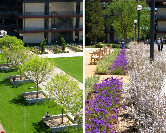 中國風景園林網 規劃設計