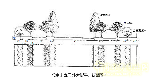 劉秀晨 綠色的云 北京 城市道路 綠化 中國(guó)風(fēng)景園林網(wǎng)