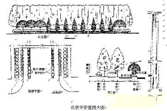 劉秀晨 綠色的云 北京 城市道路 綠化 中國(guó)風(fēng)景園林網(wǎng)