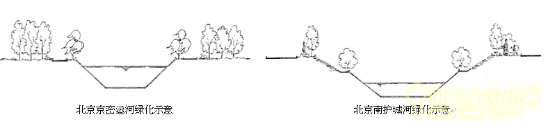 劉秀晨 綠色的云 北京 城市道路 綠化 中國風景園林網