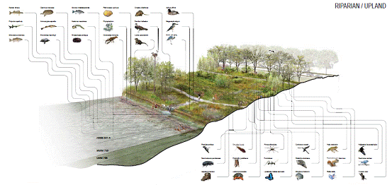 中國(guó)風(fēng)景園林網(wǎng) 規(guī)劃設(shè)計(jì)