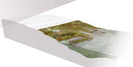 中國(guó)風(fēng)景園林網(wǎng) 規(guī)劃設(shè)計(jì)