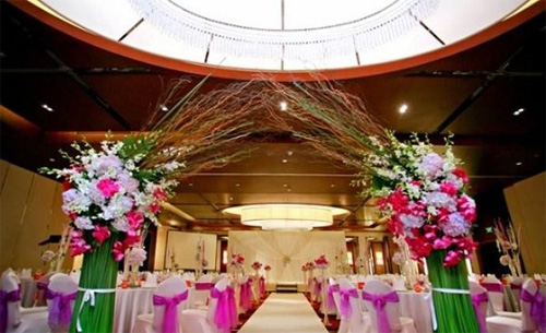 觀枝植物 龍柳 園林