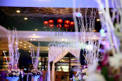 觀枝植物 龍柳 園林