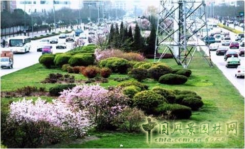 道路綠地建設