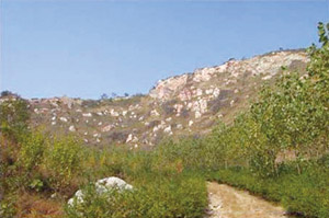 修復(fù)前的宕口生態(tài)