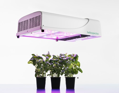 植物研究 植物科學 園藝 LED照明系統(tǒng)