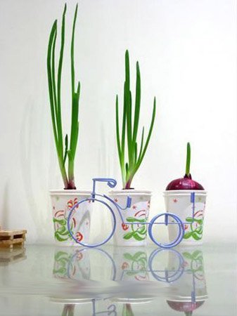 花卉 植物 中毒