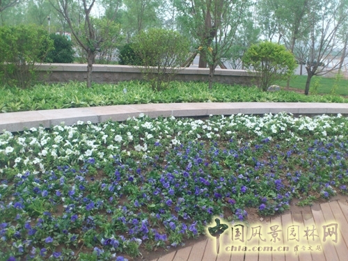 北京園博會(huì) 青島園 青島園規(guī)劃 規(guī)劃設(shè)計(jì)