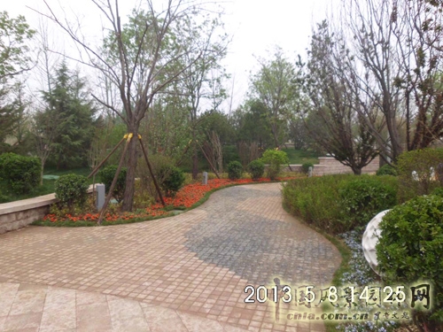 北京園博會 青島園 青島園規劃 規劃設計