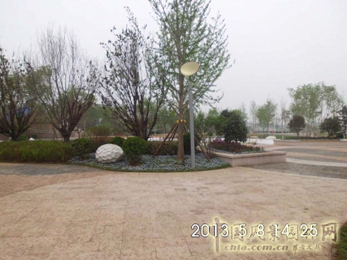 北京園博會 青島園 青島園規劃 規劃設計