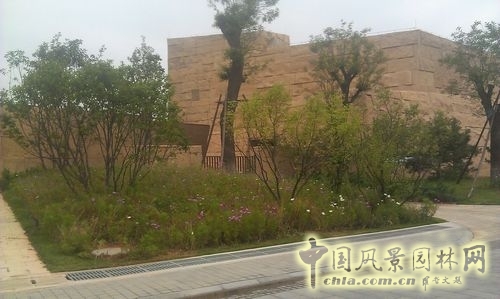 北京谷泉會議中心 上海園林 綠化工程 園林綠化