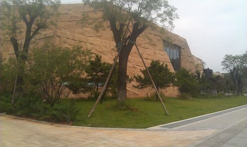 北京谷泉會議中心 上海園林 綠化工程 園林綠化