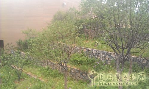 北京谷泉會(huì)議中心 上海園林 綠化工程 園林綠化