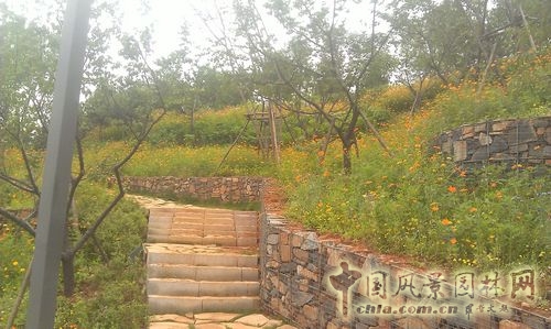 北京谷泉會(huì)議中心 上海園林 綠化工程 園林綠化