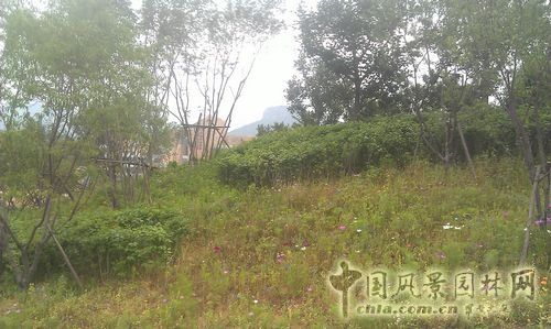 北京谷泉會(huì)議中心 上海園林 綠化工程 園林綠化
