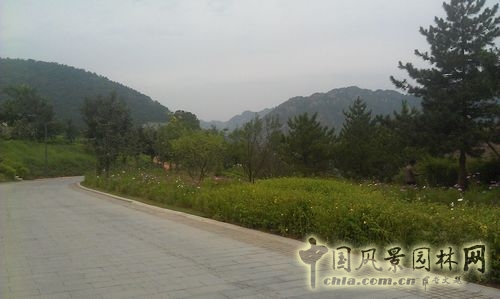 北京谷泉會(huì)議中心 上海園林 綠化工程 園林綠化