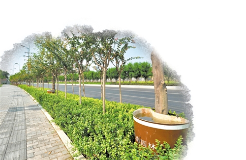 巴南:自研“神器”確保園林植物滋潤(rùn)度夏