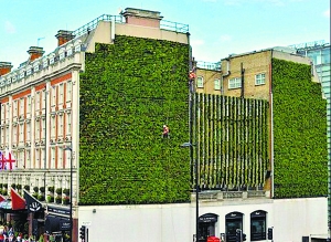 垂直花園 景觀工程 景觀園林