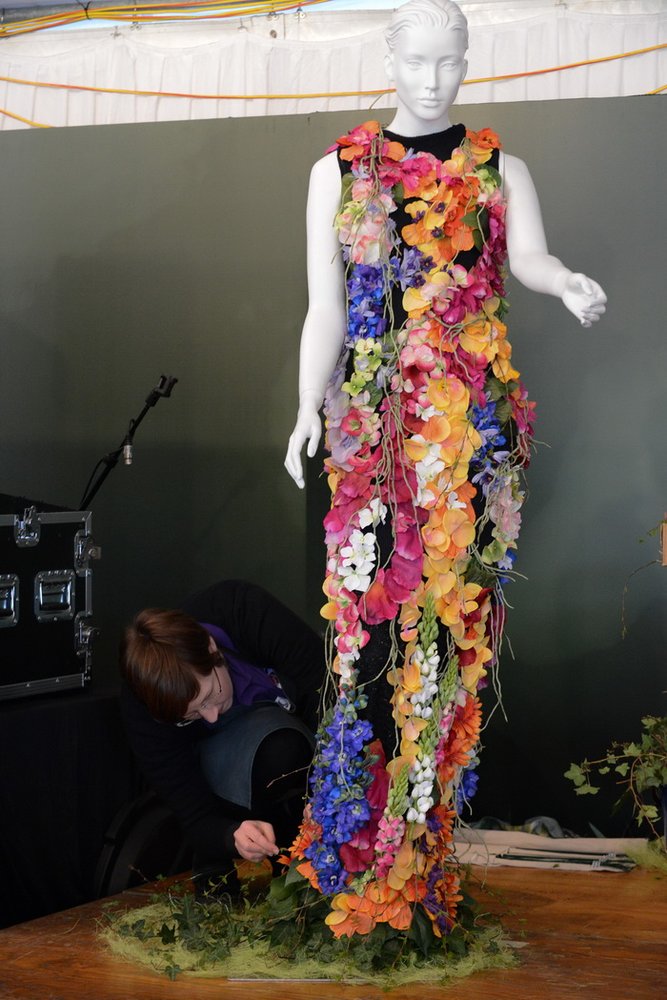 澳大利亞堪培拉花卉節 花卉節 球莖花朵