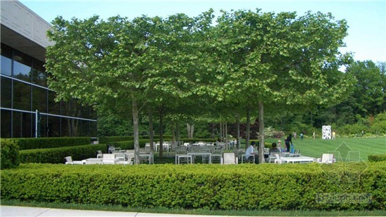 EDSA百事可樂公司