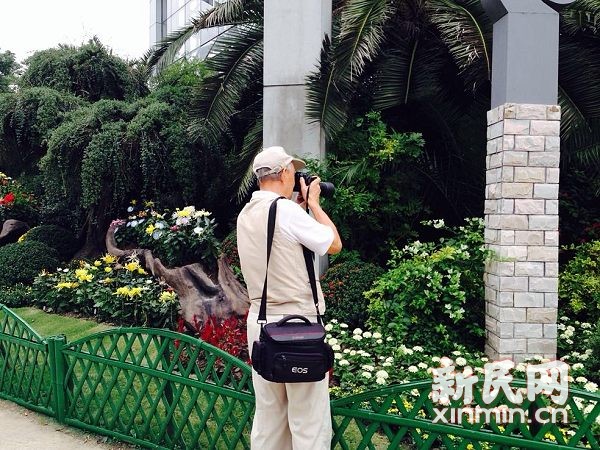 2013秋季花展9月27日至10月27日在上海植物園舉辦