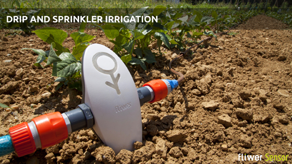 Fliwer：監控植物狀態 實現遠程澆水