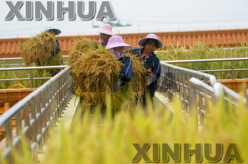 廣西柳州市柳江縣