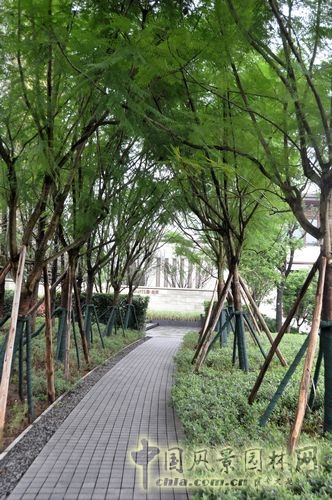 住宅景觀獎 園林工程 重慶星耀天地會所示范區