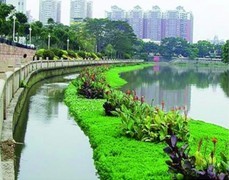 水生態設計