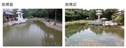 治理前后對比