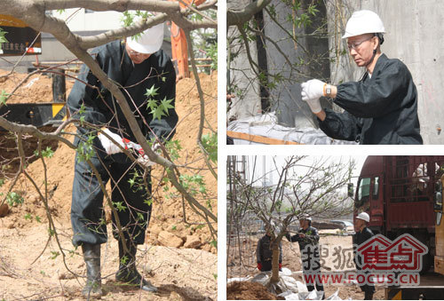 枡野俊明 禪意園林 景觀設(shè)計 海信天璽 造園設(shè)計