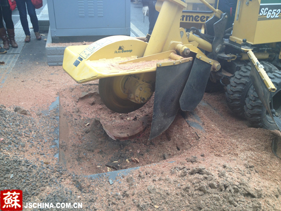 南京市園林局引進樹樁刨碎機 