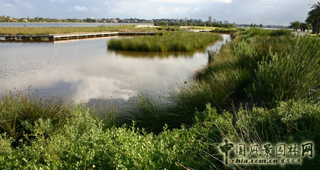 澳大利亞弗雷澤海角