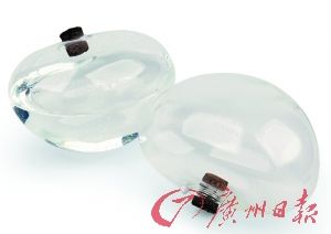植物自動(dòng)澆水器