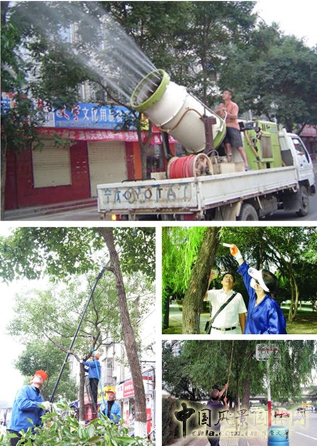 科學(xué)治理