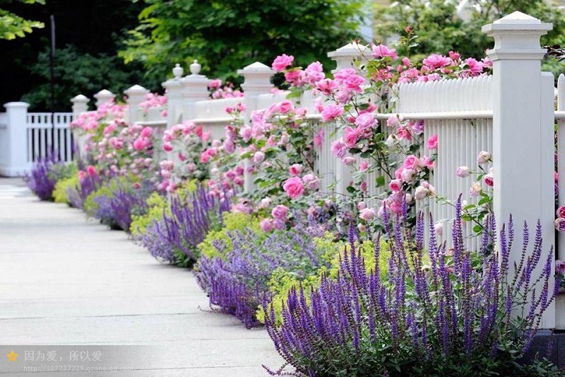 通過重復和節(jié)奏達到平衡