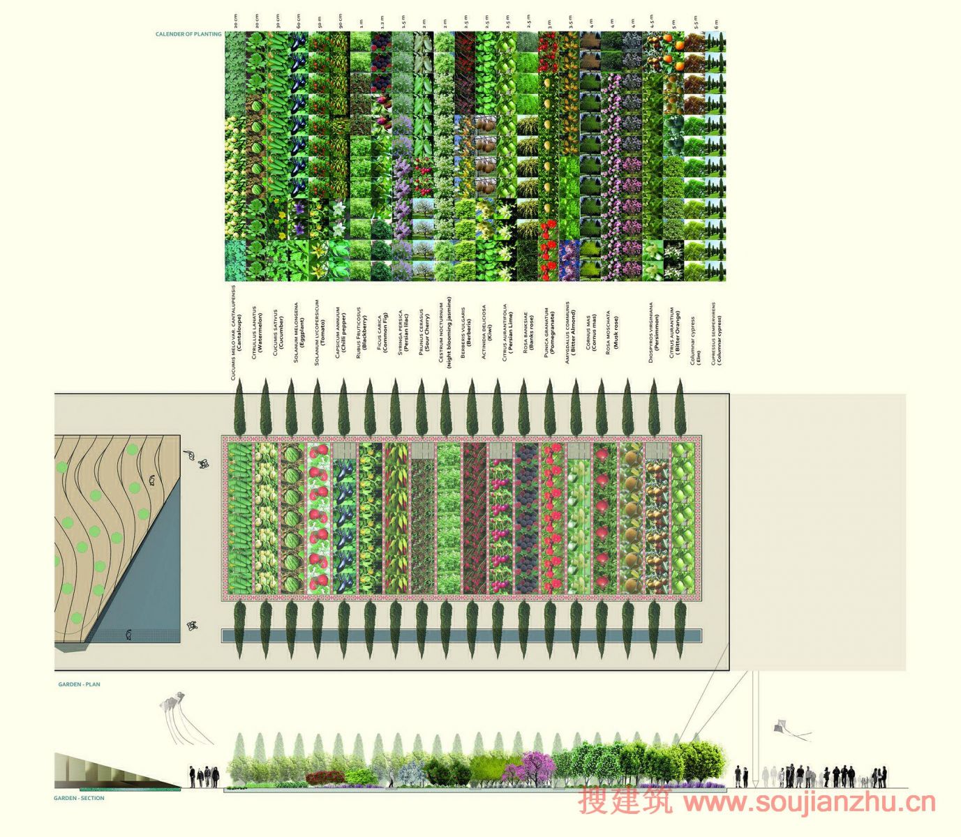 2015米蘭世博會伊朗館方案