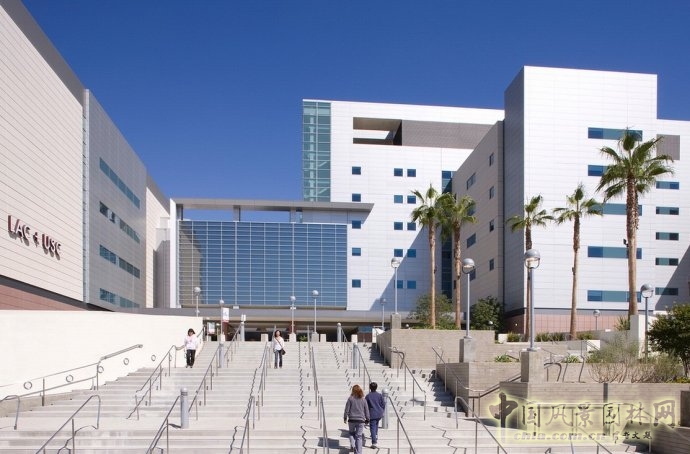 美國南加州大學LAC+USC醫學中心