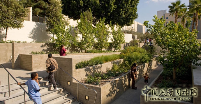 美國南加州大學LAC+USC醫學中心