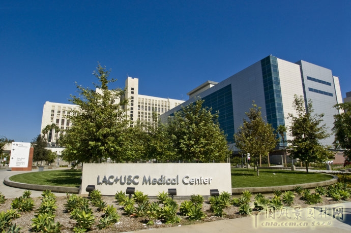 美國南加州大學LAC+USC醫學中心